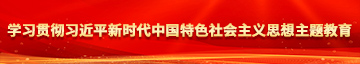 欧美性最猛性XXXXX黑白配学习贯彻习近平新时代中国特色社会主义思想主题教育